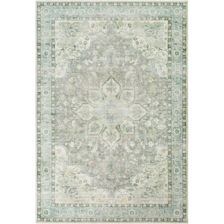 Livabliss Erin ERN-2309 Machine Crafted Area Rug ERN2309-264